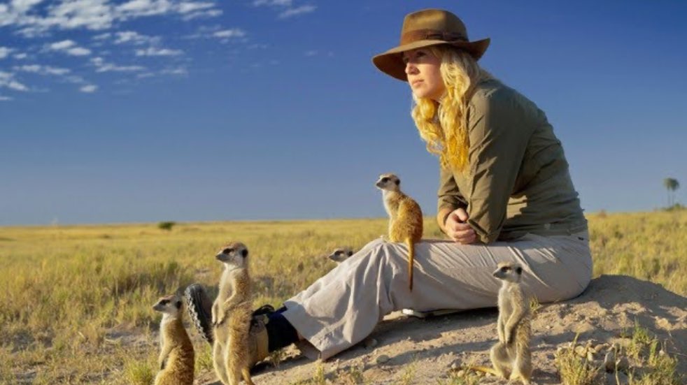 Woman sat with meerkats
